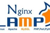 LNMP环境安装步骤